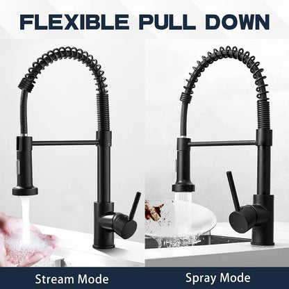 Stainless Steel Kitchen Faucet With Pull Out Sprayer