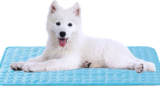 Best Cooling Pet Mat for Dogs and Cats - Pexav