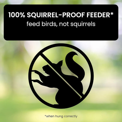Rugged Animal Resistant Bird Feeder