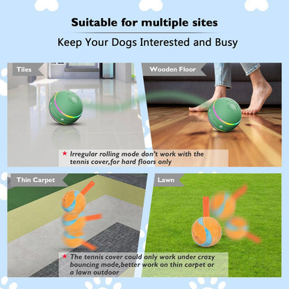 Fun Bouncy Pet Ball Toy