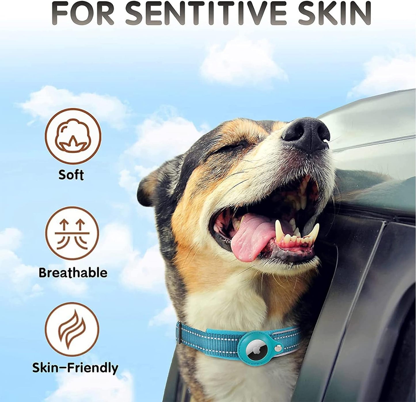 Pet GPS Tracking Collar