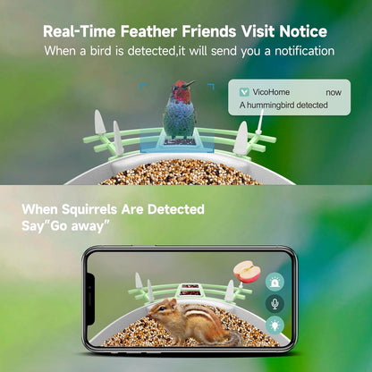 Wireless Bird Watching Security Camera