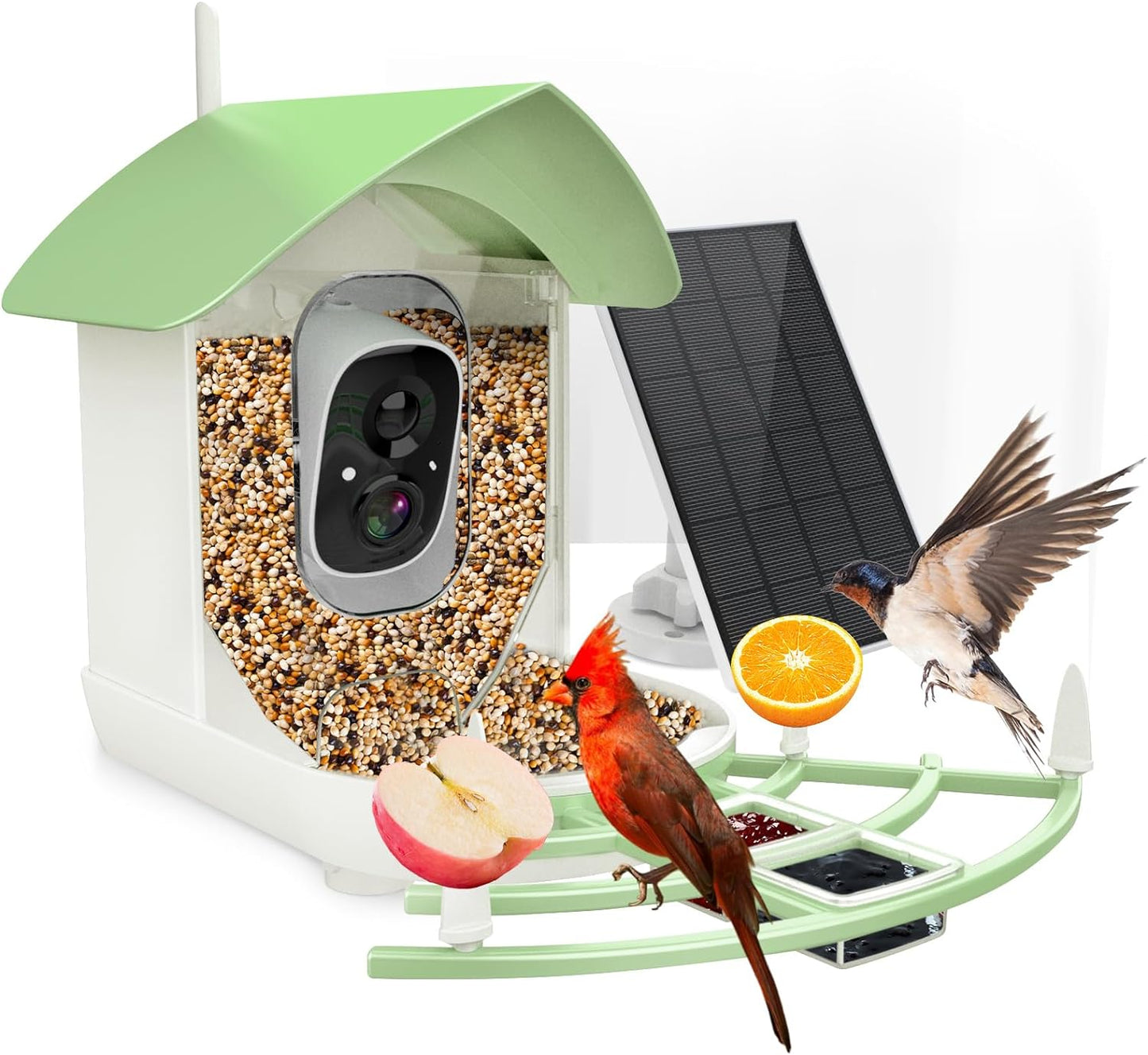 Wireless Bird Watching Security Camera - Pexav