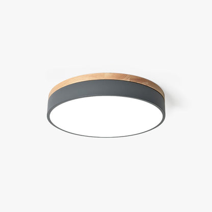 Bright Circular LED Ceiling Lamp Adjustable Light Fixture - Pexav