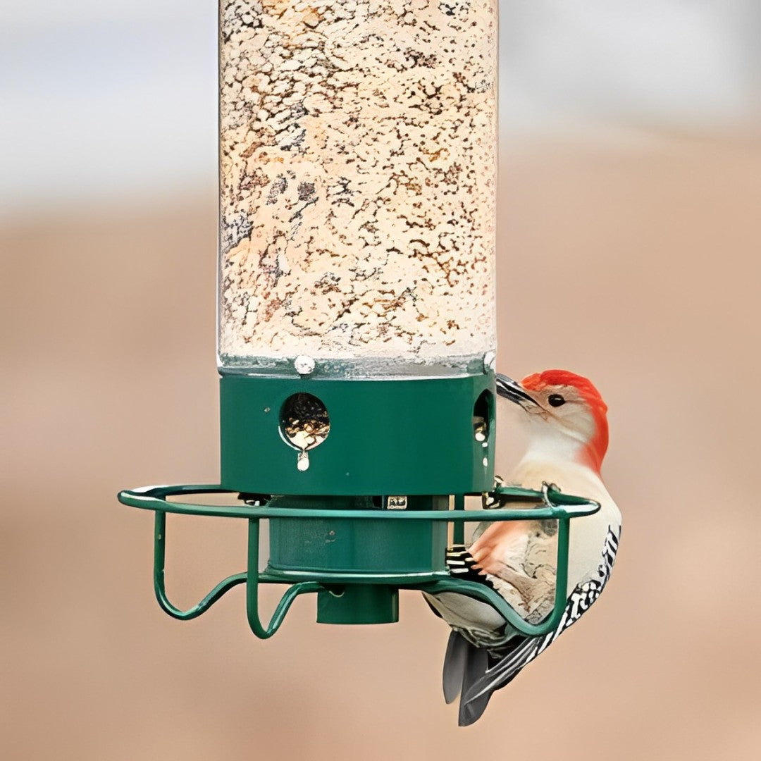 Rugged Animal Resistant Bird Feeder