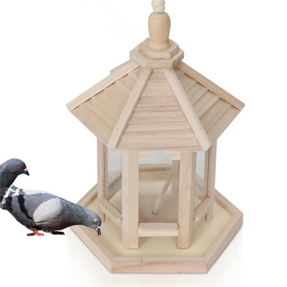 Clear Glass Backyard Bird Feeder