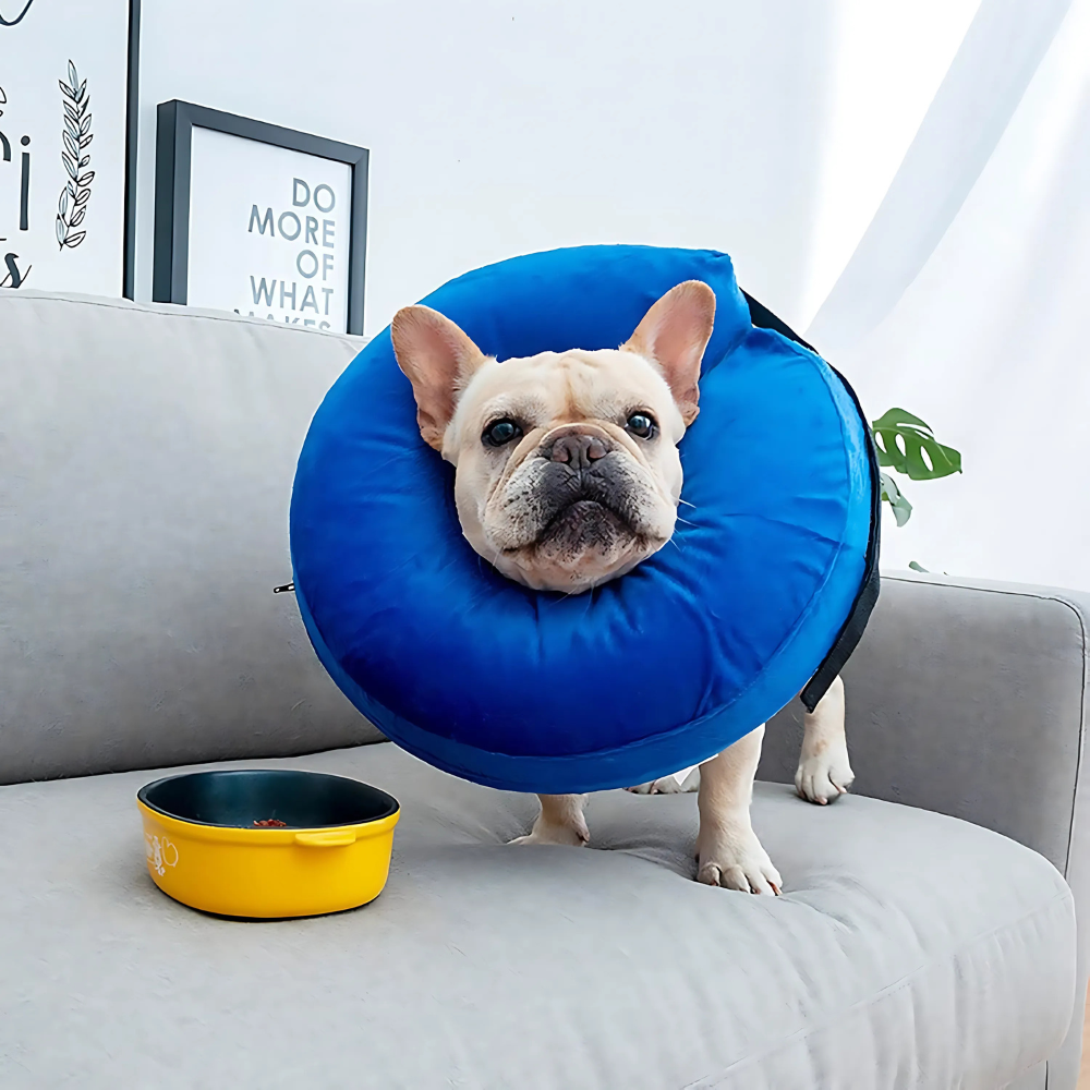 Comfy Pet Recovery Collar Inflatable Dog Cone