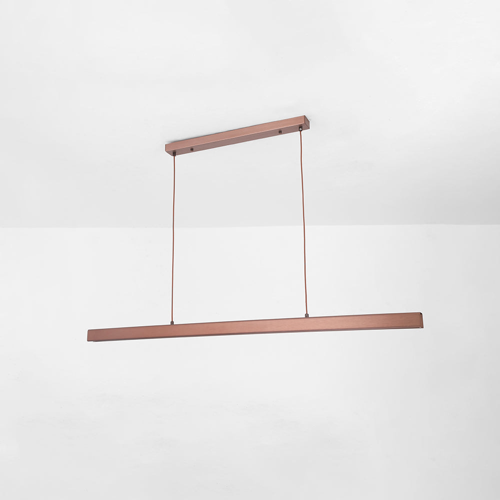 Simple Modern Adjustable LED Light Fixture