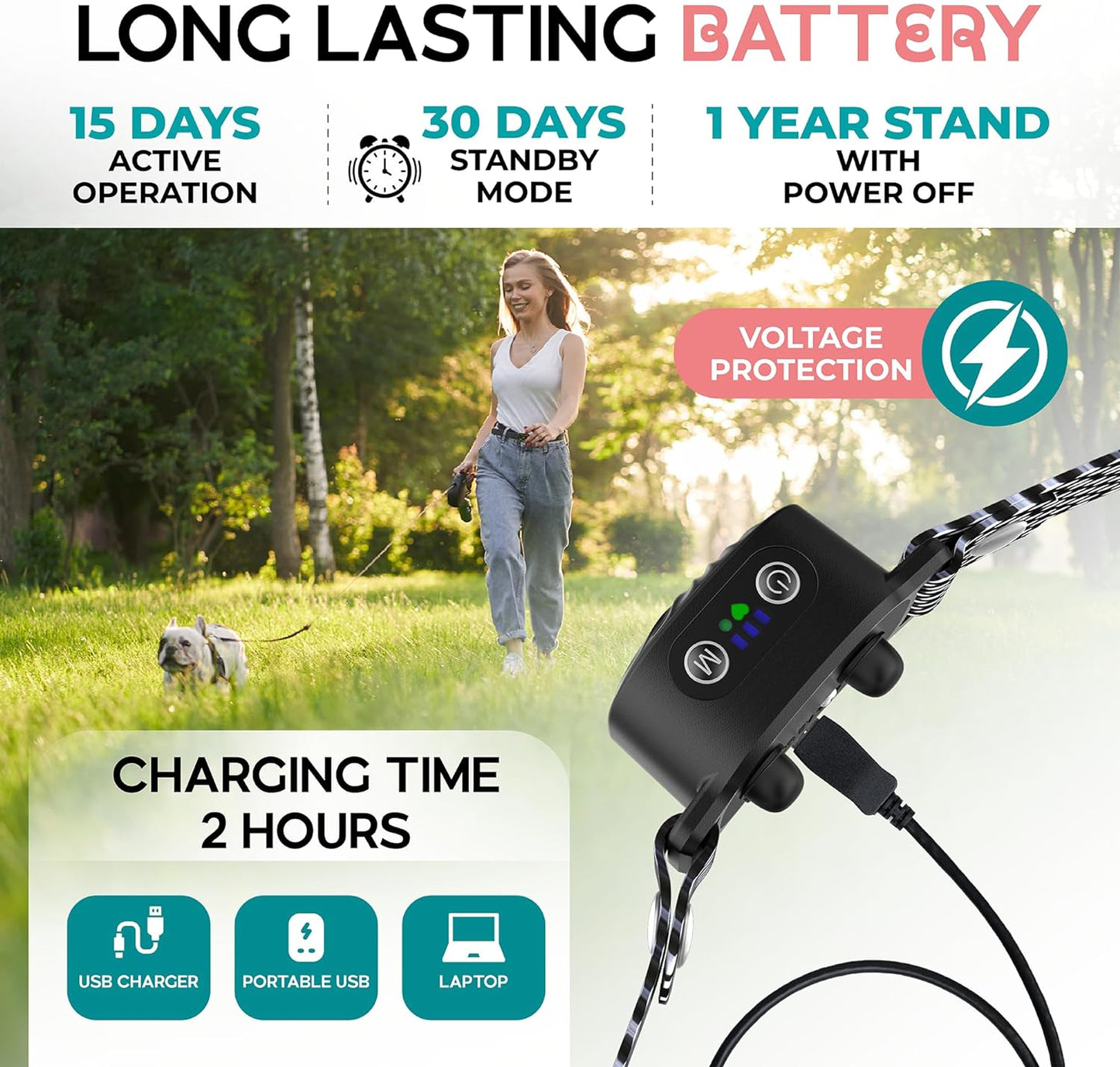 Effective Dog Bark Control Collar for Small Pets