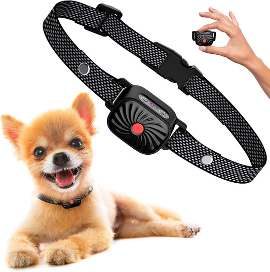Effective Dog Bark Control Collar for Small Pets - Pexav