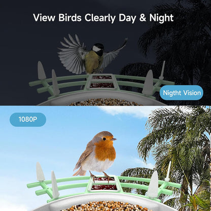 Wireless Bird Watching Security Camera