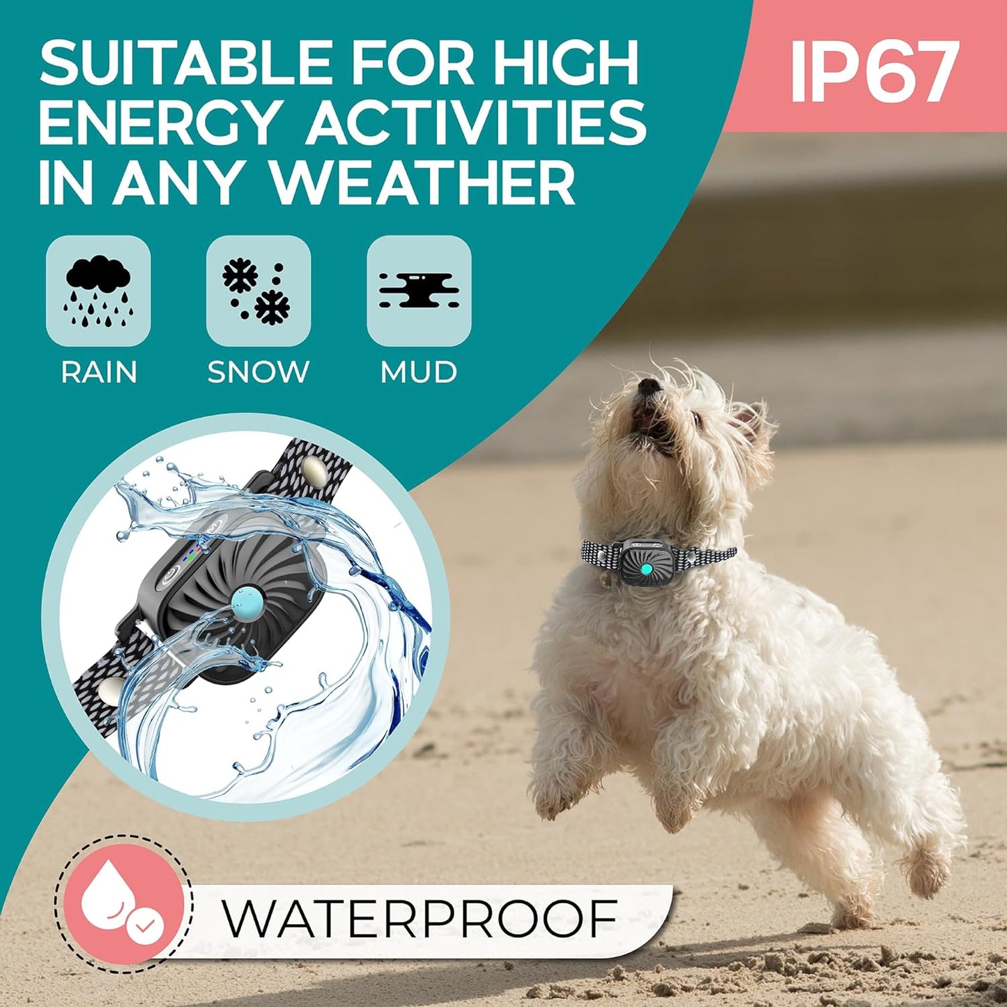 Effective Dog Bark Control Collar for Small Pets