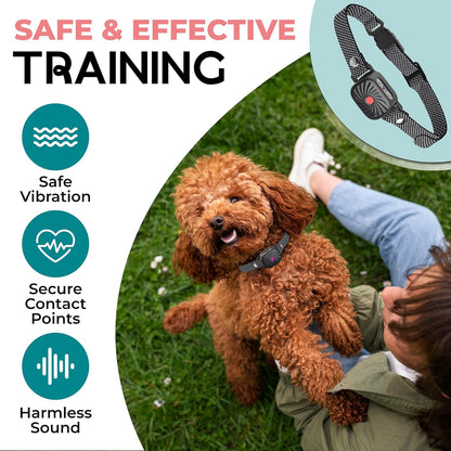 Effective Dog Bark Control Collar for Small Pets