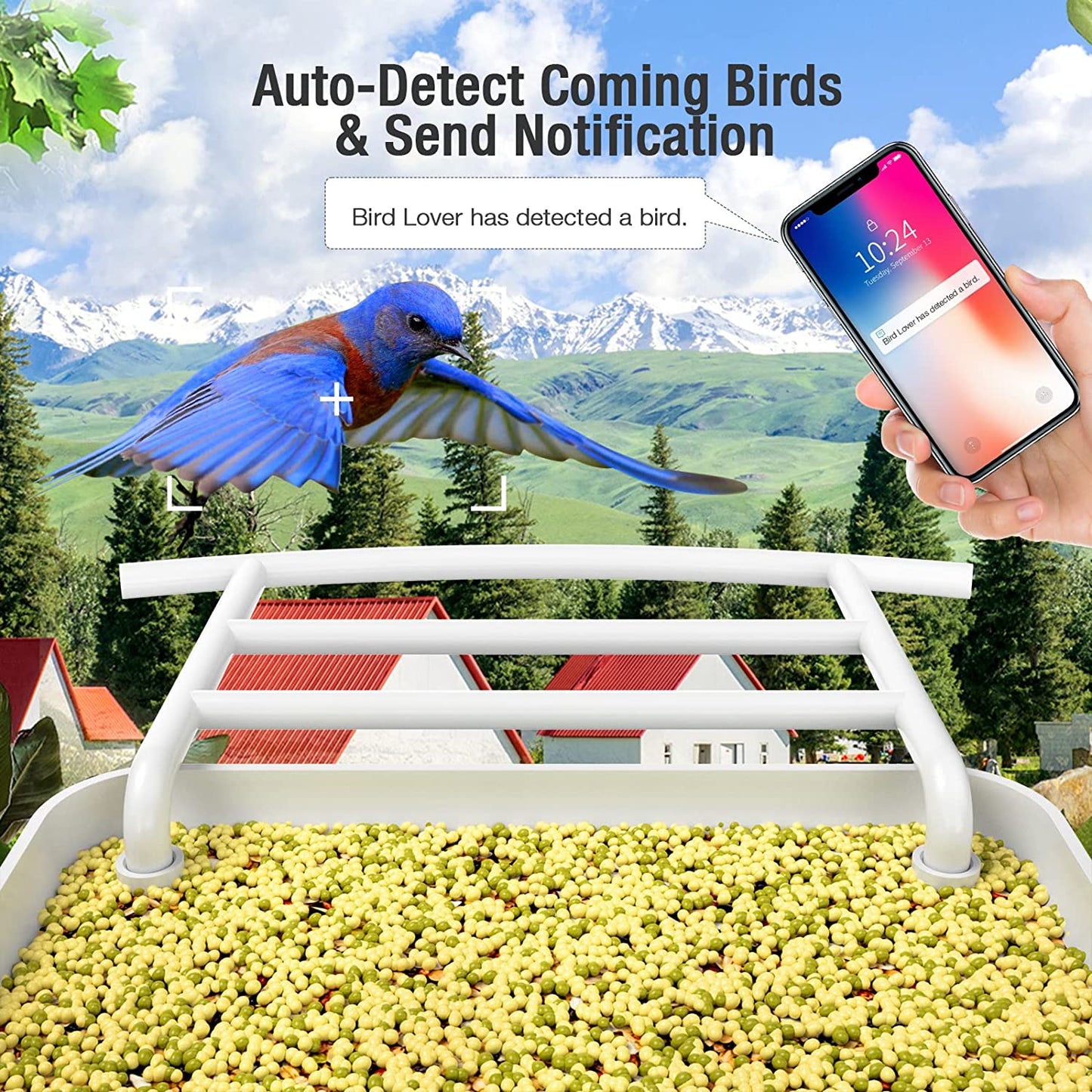 Wireless Smart Bird Feeder Security Camera
