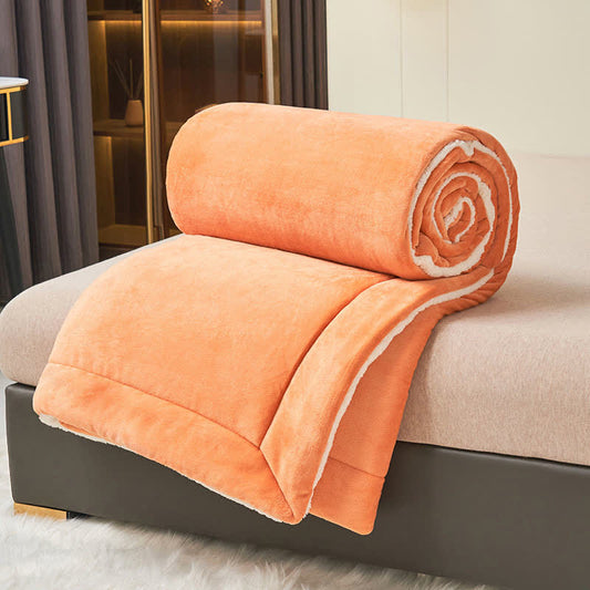 Plush Reversible Shaggy Area Rug – Dense & Cozy - Pexav