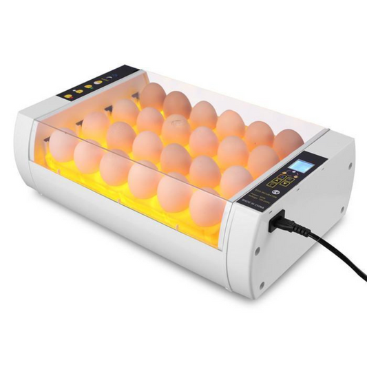 Big Automatic 24 Eggs Incubator for Chicken and Quail - Pexav