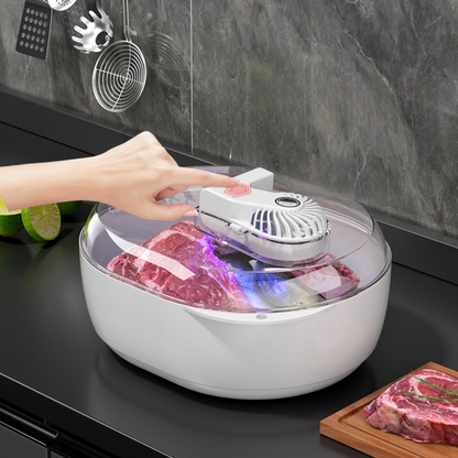 Fast 6-in-1 Defrosting Tray for Home Kitchen Use