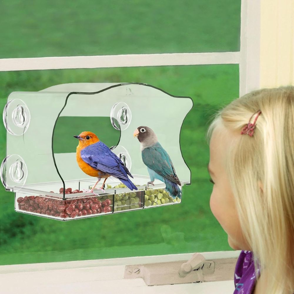 Clear Plastic Hanging Hummingbird Feeder - Pexav