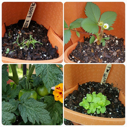 Tall Stackable Garden Flower Pots