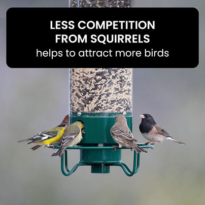 Rugged Animal Resistant Bird Feeder