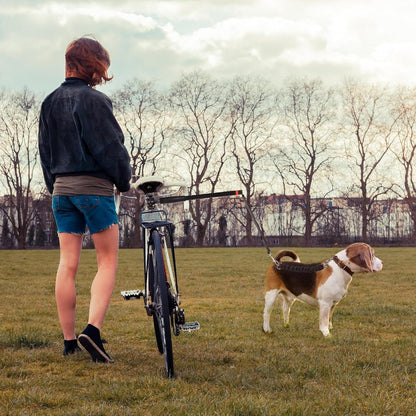 Pet Bike Safety Trailer Leash