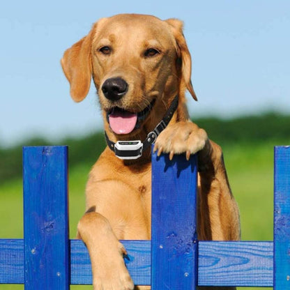 Invisible Underground Pet Containment Wire Fence System