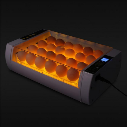 Big Automatic 24 Eggs Incubator for Chicken and Quail