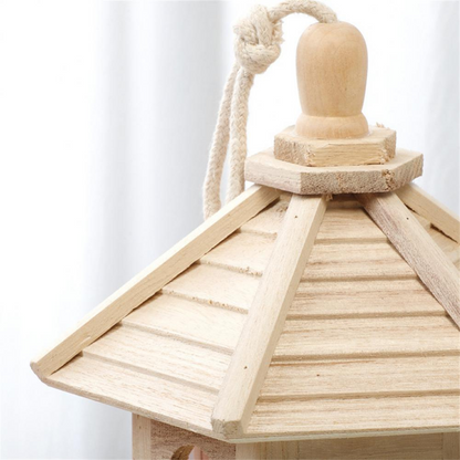 Clear Glass Backyard Bird Feeder