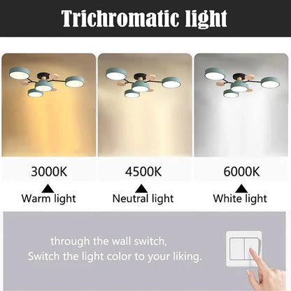 Stylish LED Ceiling Light Fixtures Modern Bright Lighting