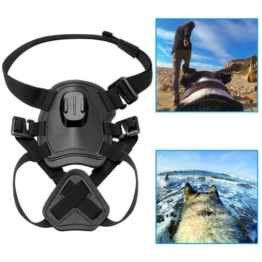 Secure Pet Harness for GoPro and Action Cams - Pexav