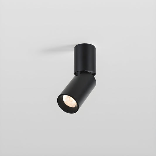 Slim LED Indoor Spotlight with Color Changing Option - Pexav