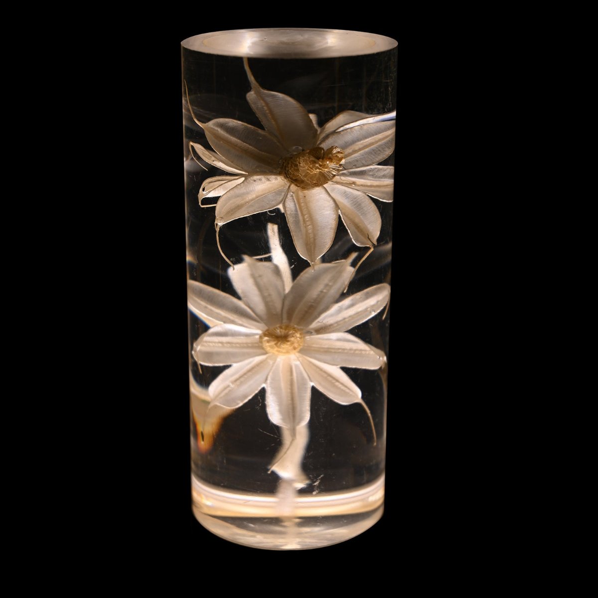Ambient Floral LED Table Lamp with Multi-Color Lighting – Cordless Decorative Light for Interior Spaces 6