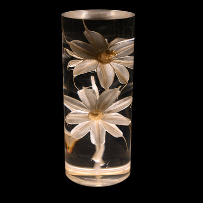 Ambient Floral LED Table Lamp with Multi-Color Lighting – Cordless Decorative Light for Interior Spaces 6