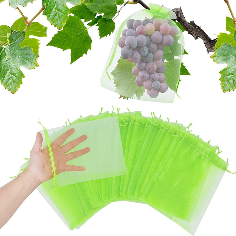 Bug Proof Garden Plant Covers - Pexav
