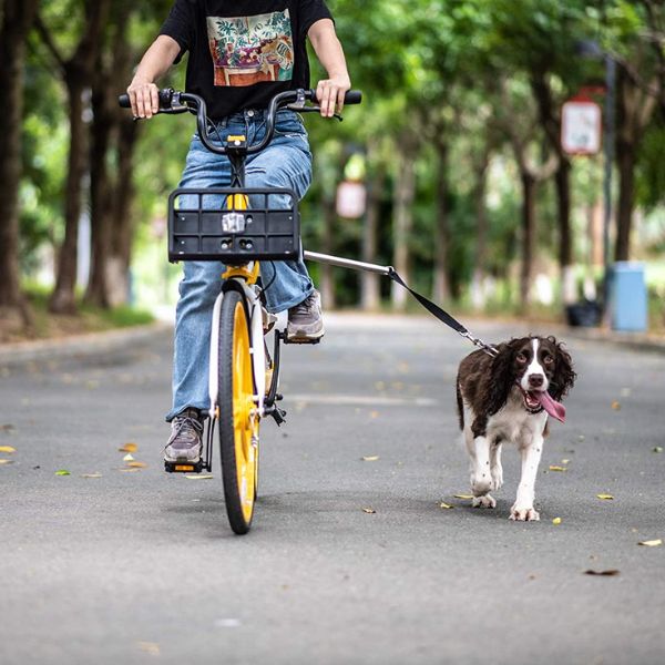 Pet Bicycle Safety Vest
