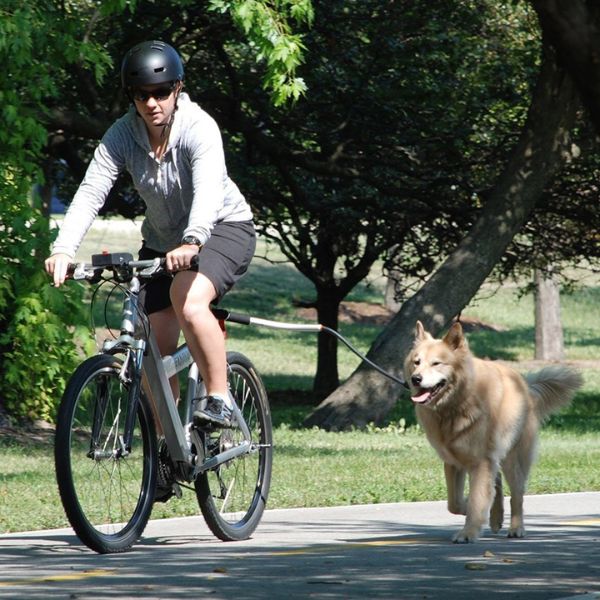 Pet Bicycle Safety Vest