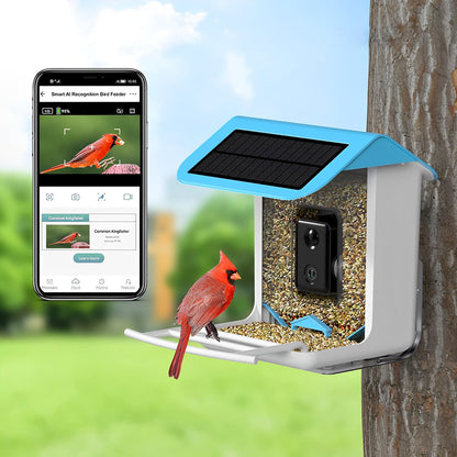 Wireless Smart Bird Feeder Security Camera - Pexav