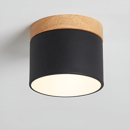 Modern LED Ceiling Lamp with Simple Design - Pexav