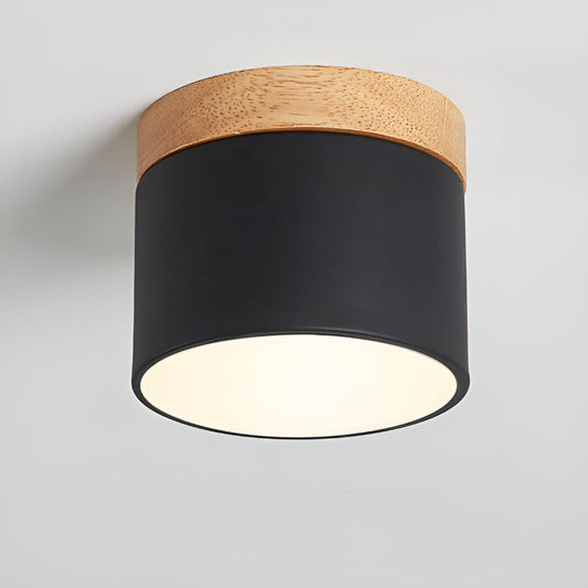 Modern LED Ceiling Lamp with Simple Design - Pexav