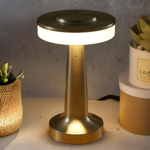 Gold table lamp on a surface with a cake and plant in the background