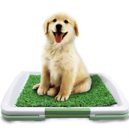 Pet Grass Litter Box Trainer - Pexav