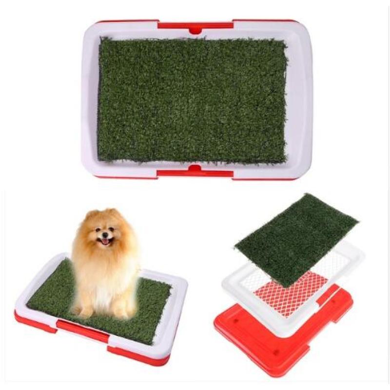 Pet Grass Litter Box Trainer