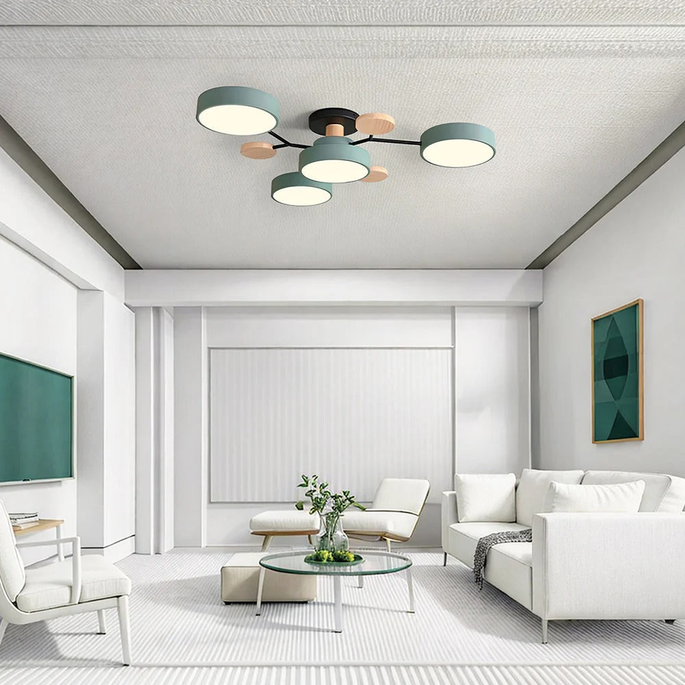 Stylish LED Ceiling Light Fixtures Modern Bright Lighting