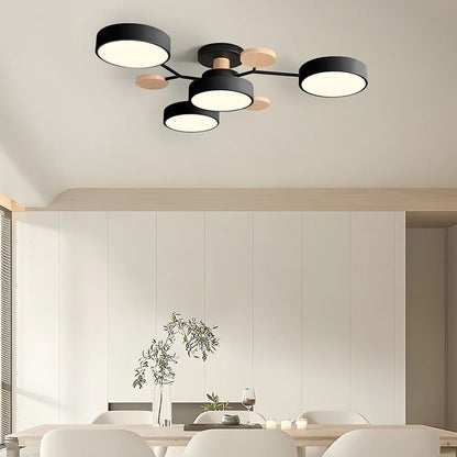 Stylish LED Ceiling Light Fixtures Modern Bright Lighting