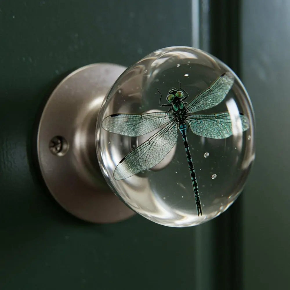 Stylish Clear Door Handle