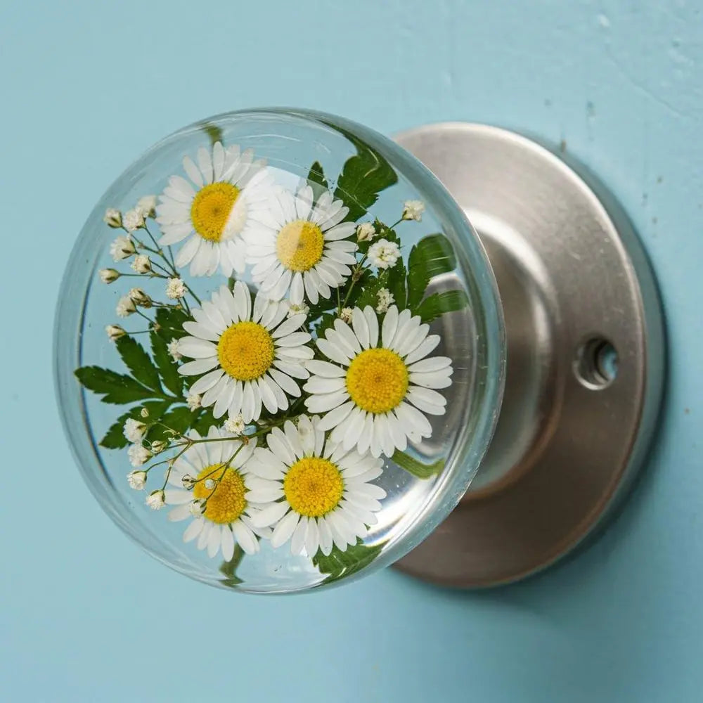 Stylish Clear Door Handle