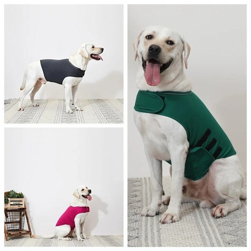 Comfortable Anti Anxiety Dog Coat for Pets - Pexav