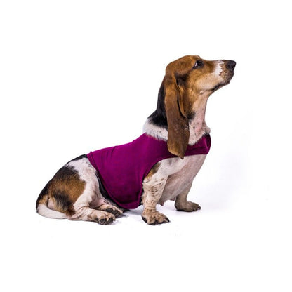 Comfortable Anti Anxiety Dog Coat for Pets
