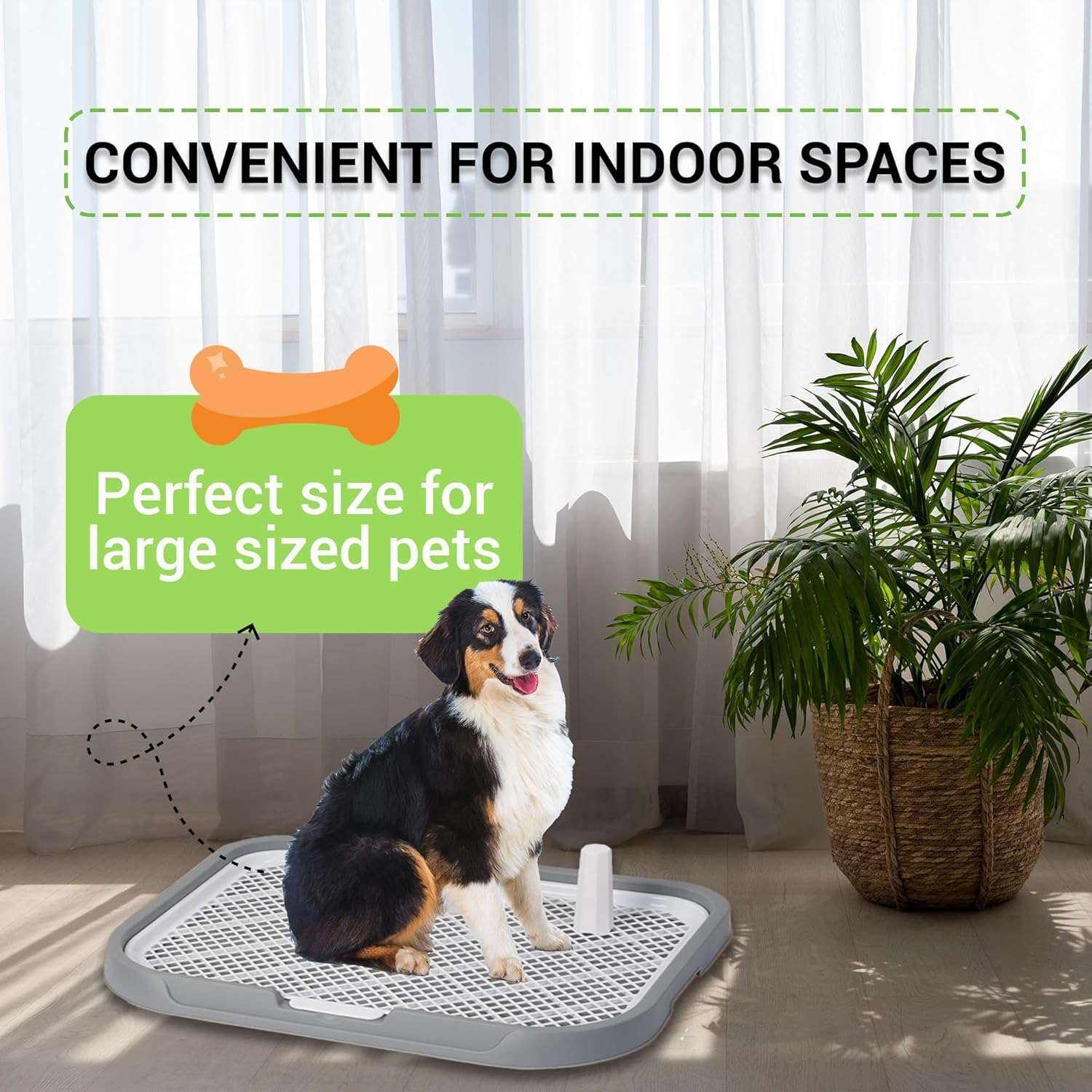 Dog Potty Training Toilet – Plastic Pee Pad Holder with Removable Net, Anti-Splash Guard & Easy Clean Tray