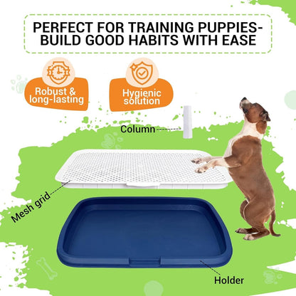 Dog Potty Training Toilet – Plastic Pee Pad Holder with Removable Net, Anti-Splash Guard & Easy Clean Tray
